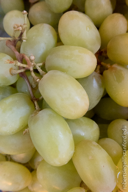 grapes